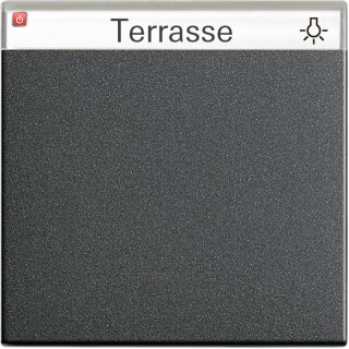 GIR29928 / Wippe BSF System 55 Anthrazit / EAN 4010337299288