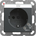 GIR45128 / SCHUKO ÜSS + BSF System 55 Anthrazit /...