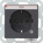 GIR45228 / SCHUKO Kontroll + BSF System 55 Anthrazit / EAN 4010337452287