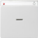 GIR67027 / Wippe Kontrollf. + BSF System 55...