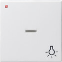 GIR67427 / Wippe Kontrollf. + Symb. Licht System 55...