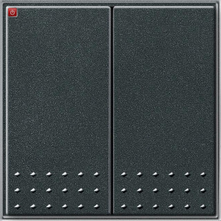 GIR12567 / Tastschalter Serien Gira TX_44 (WG UP) Anthrazit / EAN 4010337125679
