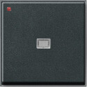 GIR29067 / Wippe Kontrollf. Gira TX_44 (WG UP) Anthrazit...