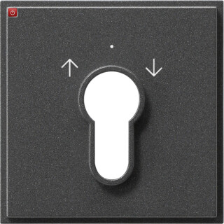 GIR66467 / Abd. Schlüsselschalter/-taster Gira TX_44 (WG UP) Anthrazit / EAN 4010337664673
