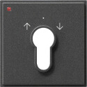 GIR66467 / Abd. Schlüsselschalter/-taster Gira TX_44...