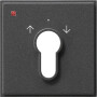 GIR66467 / Abd. Schlüsselschalter/-taster Gira TX_44 (WG UP) Anthrazit / EAN 4010337664673