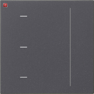 GIR536528 / S3000 Touchaufsatz System 55 Anthrazit / EAN 4010337096894