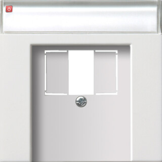 GIR876112 / Abd. BSF TAE USB Flächenschalter Reinweiß / EAN 4010337047032
