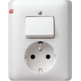 GIR17604 / Kombi AusWe/SCHUKO Vollpl. Standard 55 Reinweiß m / EAN 4010337176046