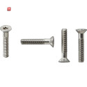 GIR140200 / Schrauben Innensechsrund 30 Stck. Gira TX_44...