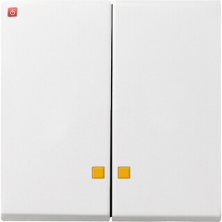 GIR63103 / Wippe 2f Kontrollf. System 55 Reinweiß / EAN 4010337631033