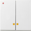 GIR63103 / Wippe 2f Kontrollf. System 55 Reinweiß /...