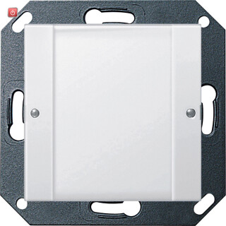 GIR2001100 / Tastsens.2 1f 24 V pot.frei BSF System 55 Klar/Reinweiß / EAN 4010337047988
