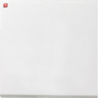 GIR126112 / Tastschalter AusWe Flächenschalter Reinweiß / EAN 4010337043829