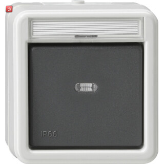 GIR10731 / Wippschalter Kreuz BSF WD AP Grau / EAN 4010337107316