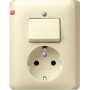 GIR17601 / Kombi AusWe/SCHUKO Vollpl. Standard 55 Cremeweiß / EAN 4010337176015