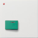 GIR246112 / Abd. Ackermann 73642 C Flächenschalter...