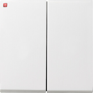 GIR26603 / Wippe 2f + Set IP44 Standard 55, Gira E2 Reinweiß / EAN 4010337266037