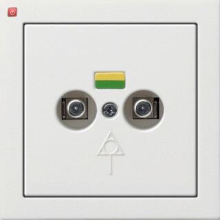 GIR405112 / Potenzialausgleich-Dose 2f Flächenschalter Reinweiß / EAN 4010337045168