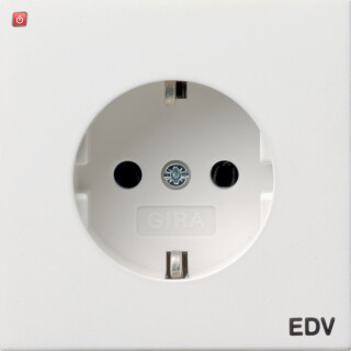 GIR458112 / SCHUKO Aufdruck EDV Flächenschalter Reinweiß / EAN 4010337045977