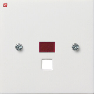 GIR638112 / Abd. Kontrollf. groß Zugschalter/-taster Flächenschalter Reinweiß / EAN 4010337046400