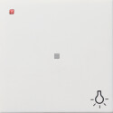 GIR674112 / Wippe Kontrollf. + Symb. Licht...