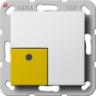 GIR291003 / Anwesenheitst. GE System 55 Reinweiß / EAN 4010337062233