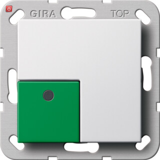GIR291103 / Abstelltaster System 55 Reinweiß / EAN 4010337062349