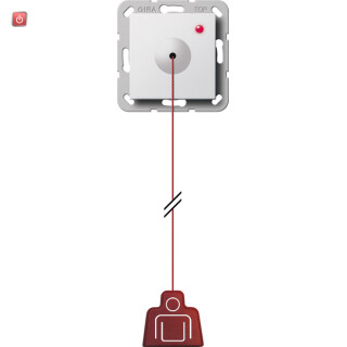 GIR291203 / Zugtaster System 55 Reinweiß / EAN 4010337062561