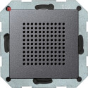 GIR228228 / Lautsprecher UP-Radio RDS System 55 Anthrazit...
