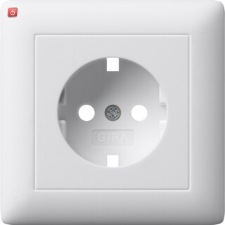 GIR92904 / Abd. SCHUKO Vollpl. System 55 Reinweiß m / EAN 4010337040118