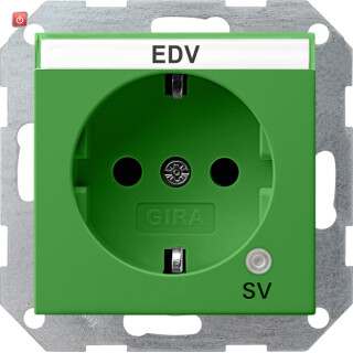 GIR268102 / SCHUKO Kontroll GN + BSF SV System 55 Grün / EAN 4010337011170