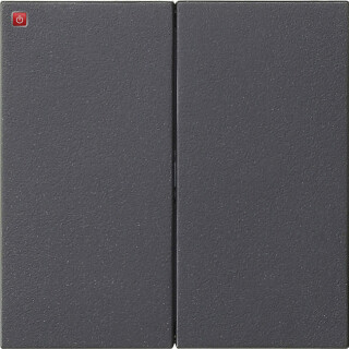 GIR537028 / Wippe 2f unbedruckt System 55 Anthrazit / EAN 4010337108542