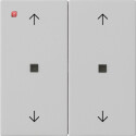 GIR5386015 / Wippe 2f Pfeile Kontrollf. System 55 Grau m...