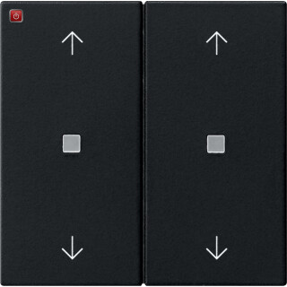 GIR5386005 / Wippe 2f Pfeile Kontrollf. System 55 Schwarz m / EAN 4010337111726