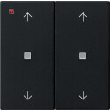 GIR5386005 / Wippe 2f Pfeile Kontrollf. System 55 Schwarz...