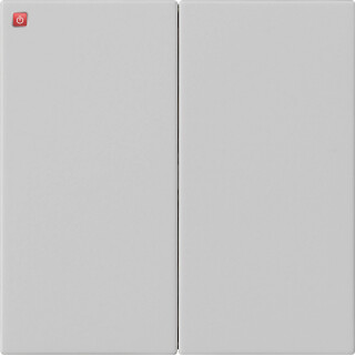 GIR5370015 / Wippe 2f unbedruckt System 55 Grau m / EAN 4010337108481