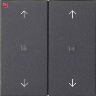 GIR538628 / Wippe 2f Pfeile Kontrollf. System 55 Anthrazit / EAN 4010337111702