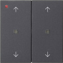 GIR538628 / Wippe 2f Pfeile Kontrollf. System 55...