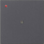 GIR537128 / Wippe 1f unbedruckt Kontrollf. System 55 Anthrazit / EAN 4010337108368