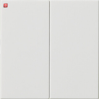GIR537003 / Wippe 2f unbedruckt System 55 Reinweiß / EAN 4010337108511