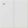 GIR537003 / Wippe 2f unbedruckt System 55 Reinweiß / EAN 4010337108511