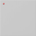 GIR5372015 / Wippe 1f unbedruckt System 55 Grau m / EAN...