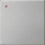 GIR5372600 / Wippe 1f unbedruckt System 55 Edelstahl / EAN 4010337108856