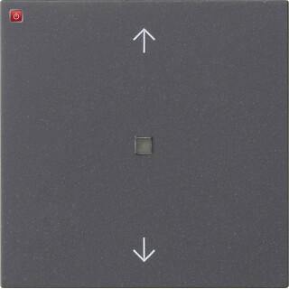 GIR538828 / Wippe 1f Pfeile Kontrollf. System 55 Anthrazit / EAN 4010337111887
