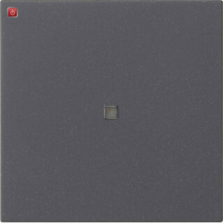 GIR536828 / S3000 Bedienaufs. BT System 55 Anthrazit / EAN 4010337104131