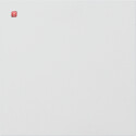 GIR5554902 / Frontpl. Info-/Blindmodul System 106...