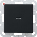 GIR122005 / Tast-Kontroll Aus 2-p System 55 Schwarz m /...