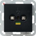 GIR405005 / Potenzialausgleich-Dose 2f System 55 Schwarz...