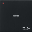 GIR209005 / Wippe Kontrollf. + Symb. Steckd. System 55...